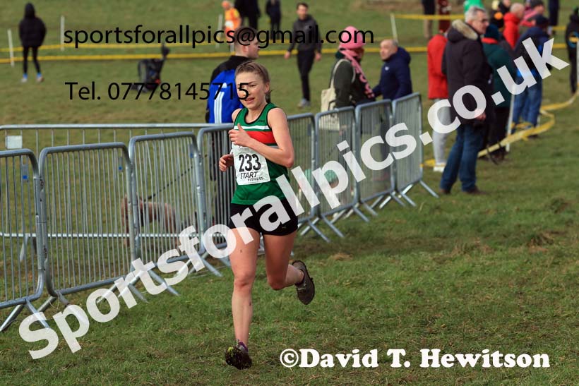 Senior Womens 2024 Northern Cross Country Champs., Sedgefield. Photo: David T. Hewitson/Sports for All Pics